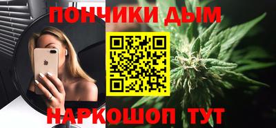 a pvp Новозыбков