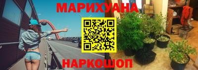 PSILOCYBIN Новодвинск