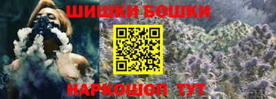 a pvp Новозыбков