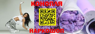 a pvp Новозыбков
