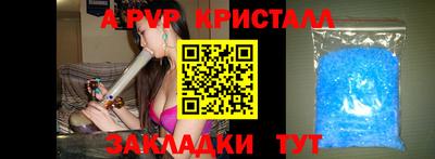 a pvp Новозыбков