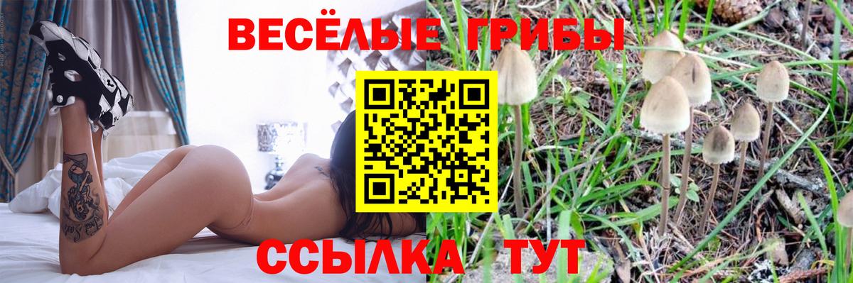 Галлюциногенные грибы ЛСД Ступино